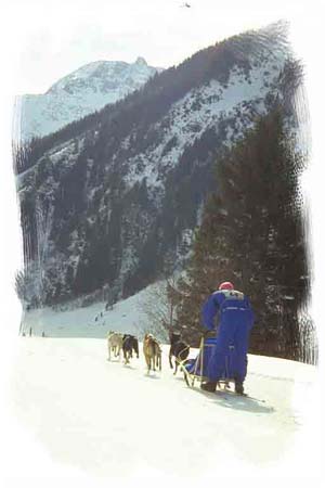 Hundschlittenfahren-1