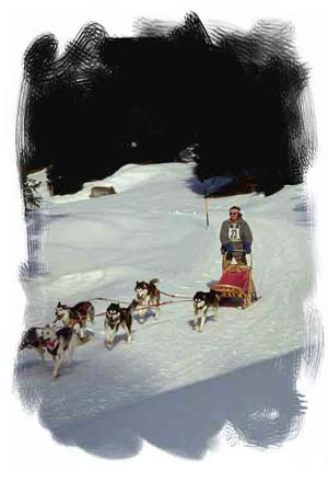 Hundschlittenfahren-in-Raur