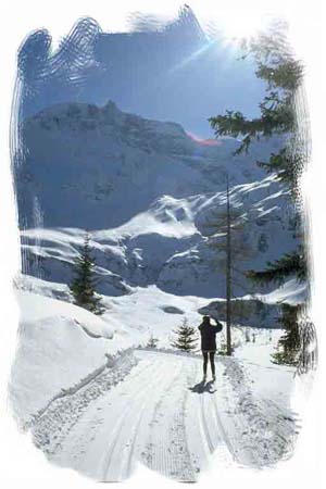 Langlauf-2