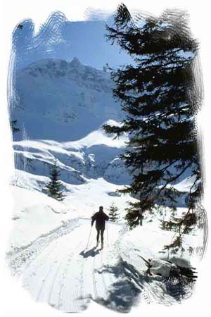 Langlauf-in-Rauris