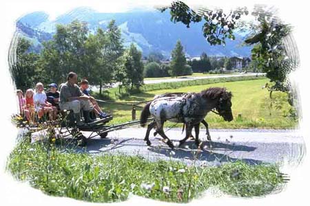Pferdekutsche