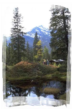 Rauriser-Urwald