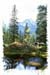Bergsee
