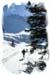 Langlauf-in-Rauris